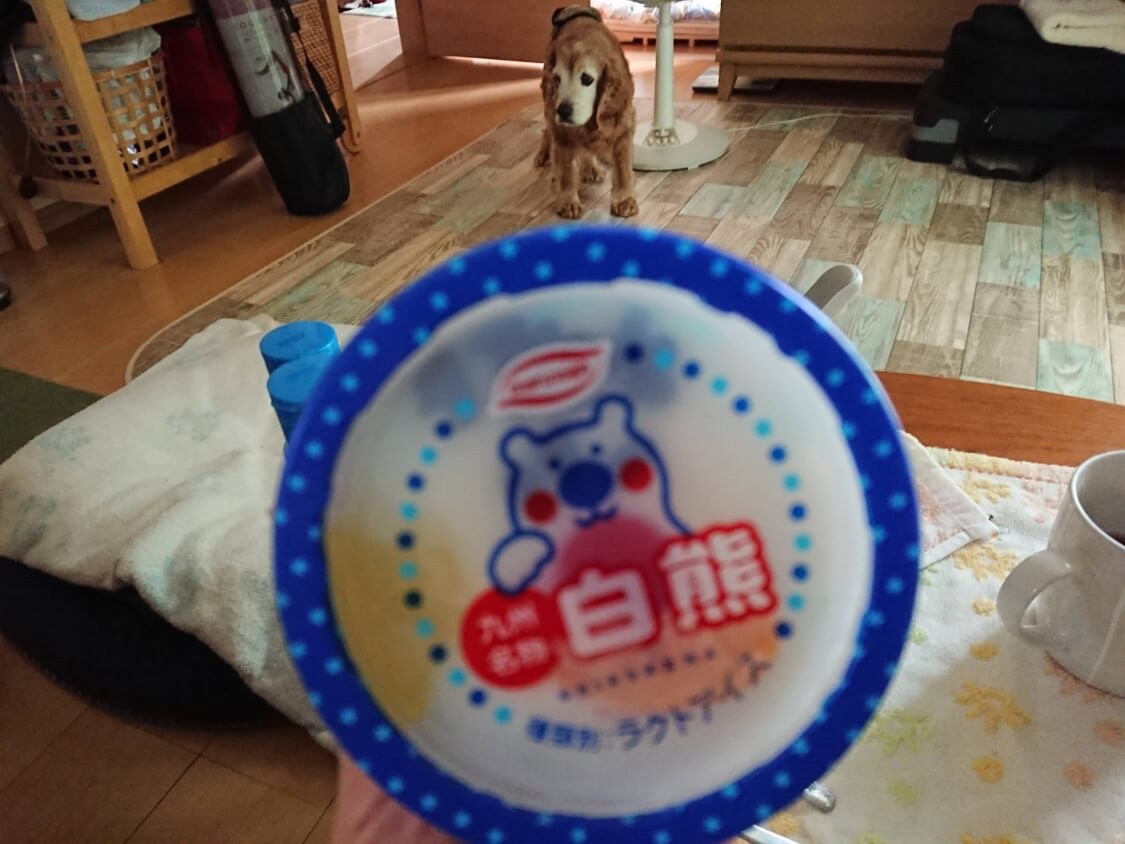 f:id:sumomomomoko:20200705003717j:plain f:id:sumomomomoko:20200705003717j:plain