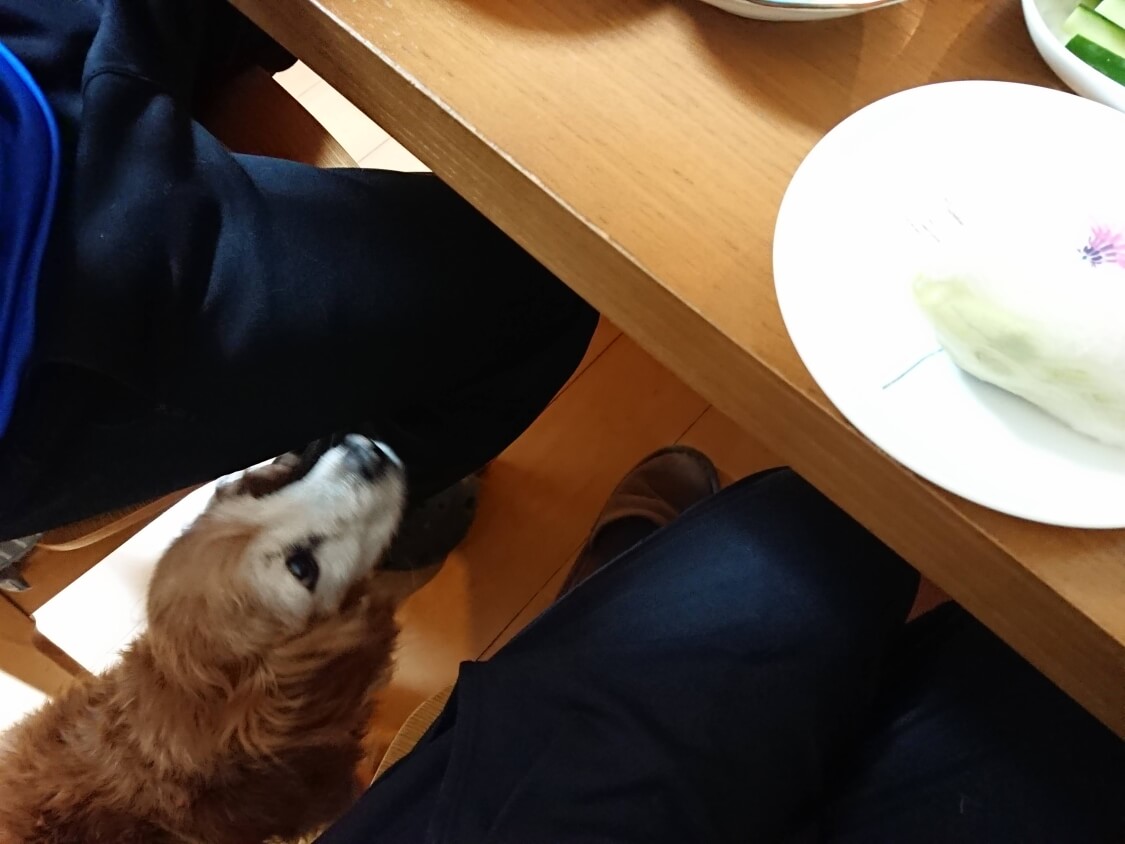 f:id:sumomomomoko:20210406194534j:plain