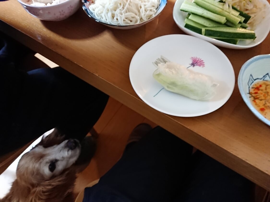 f:id:sumomomomoko:20210406194538j:plain