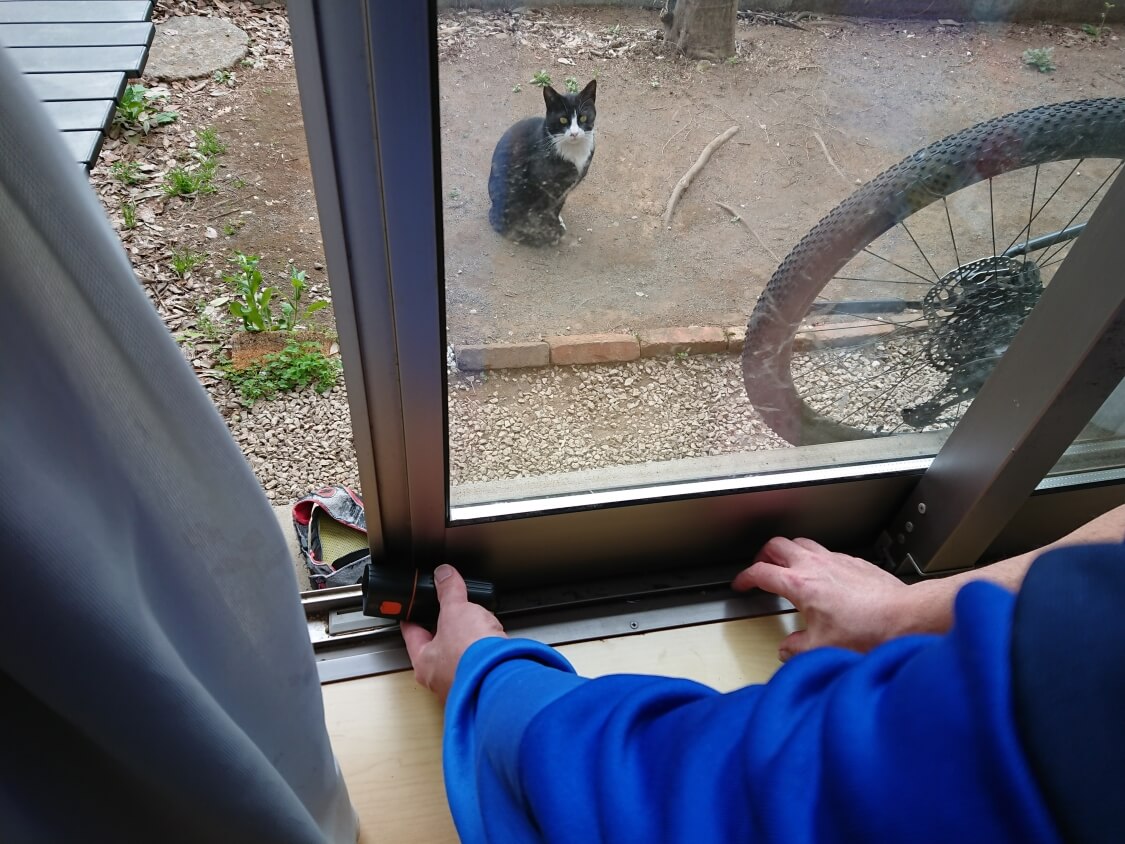 f:id:sumomomomoko:20210406194544j:plain