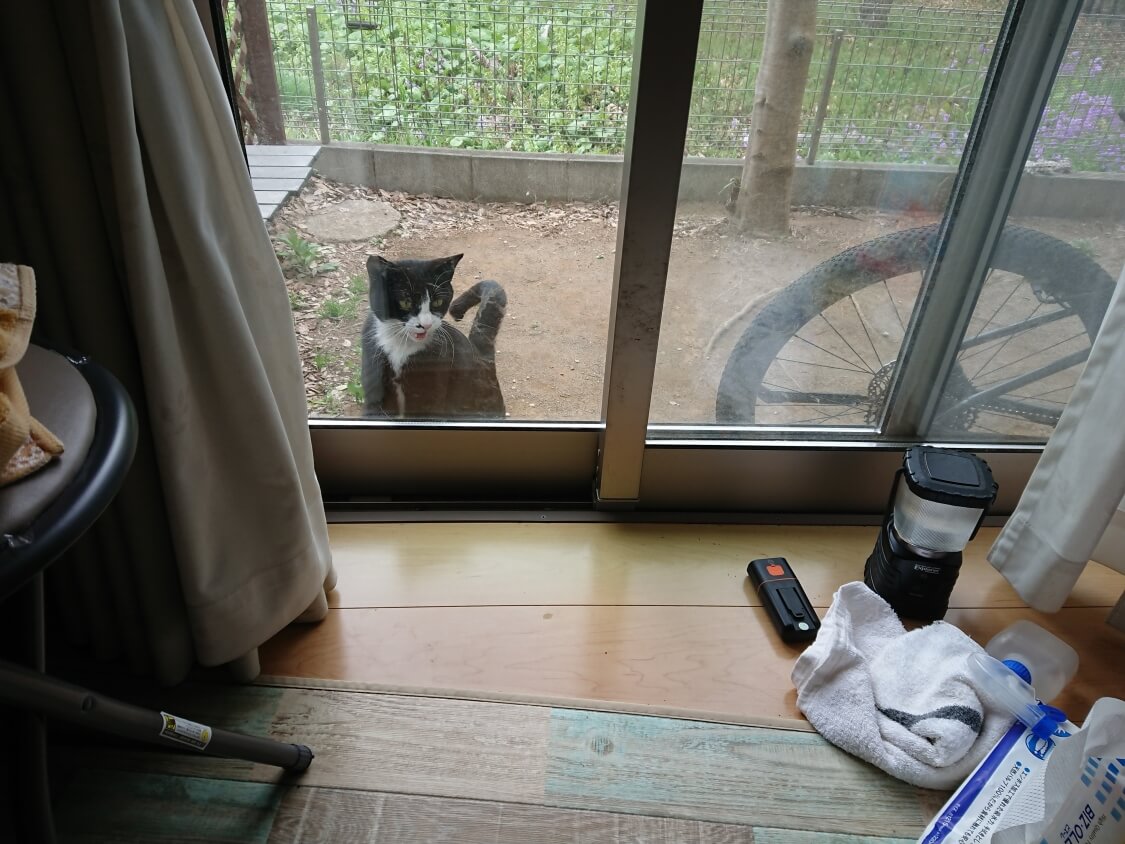 f:id:sumomomomoko:20210406194548j:plain