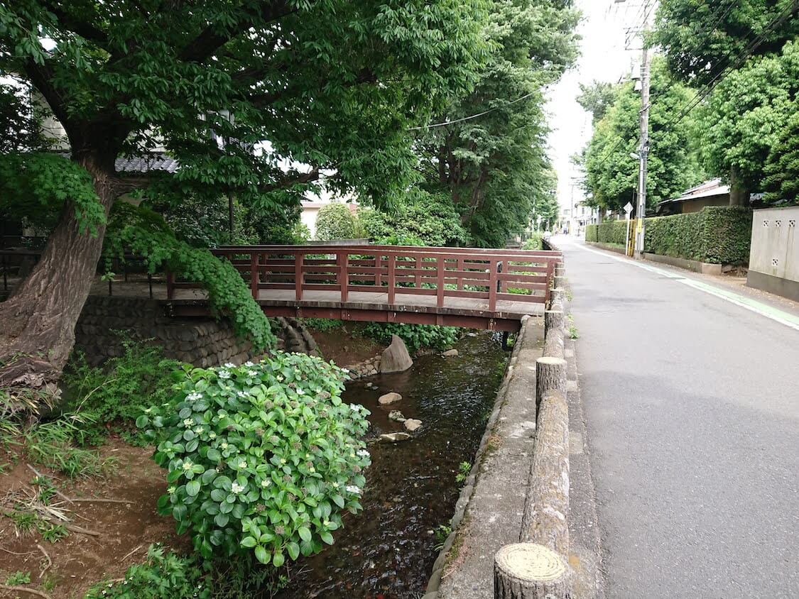 f:id:sumomomomoko:20210605222946j:plain