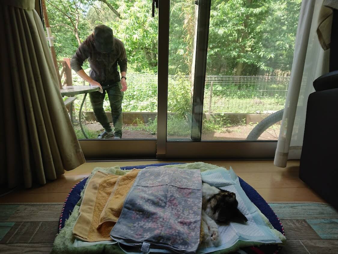 f:id:sumomomomoko:20210605223025j:plain