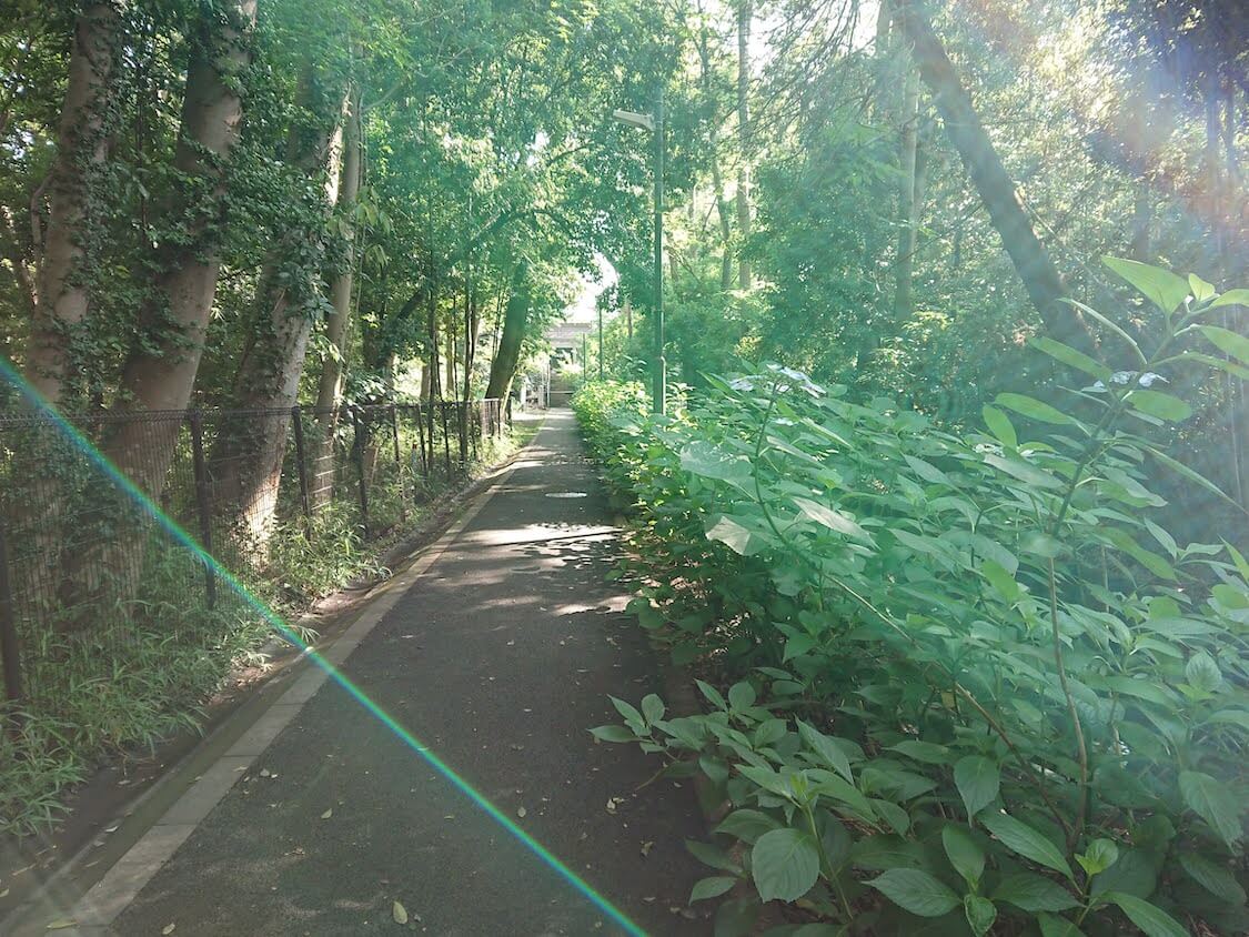 f:id:sumomomomoko:20210605223035j:plain