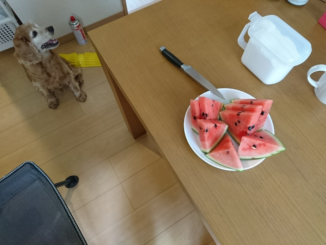 f:id:sumomomomoko:20210823204132j:plain