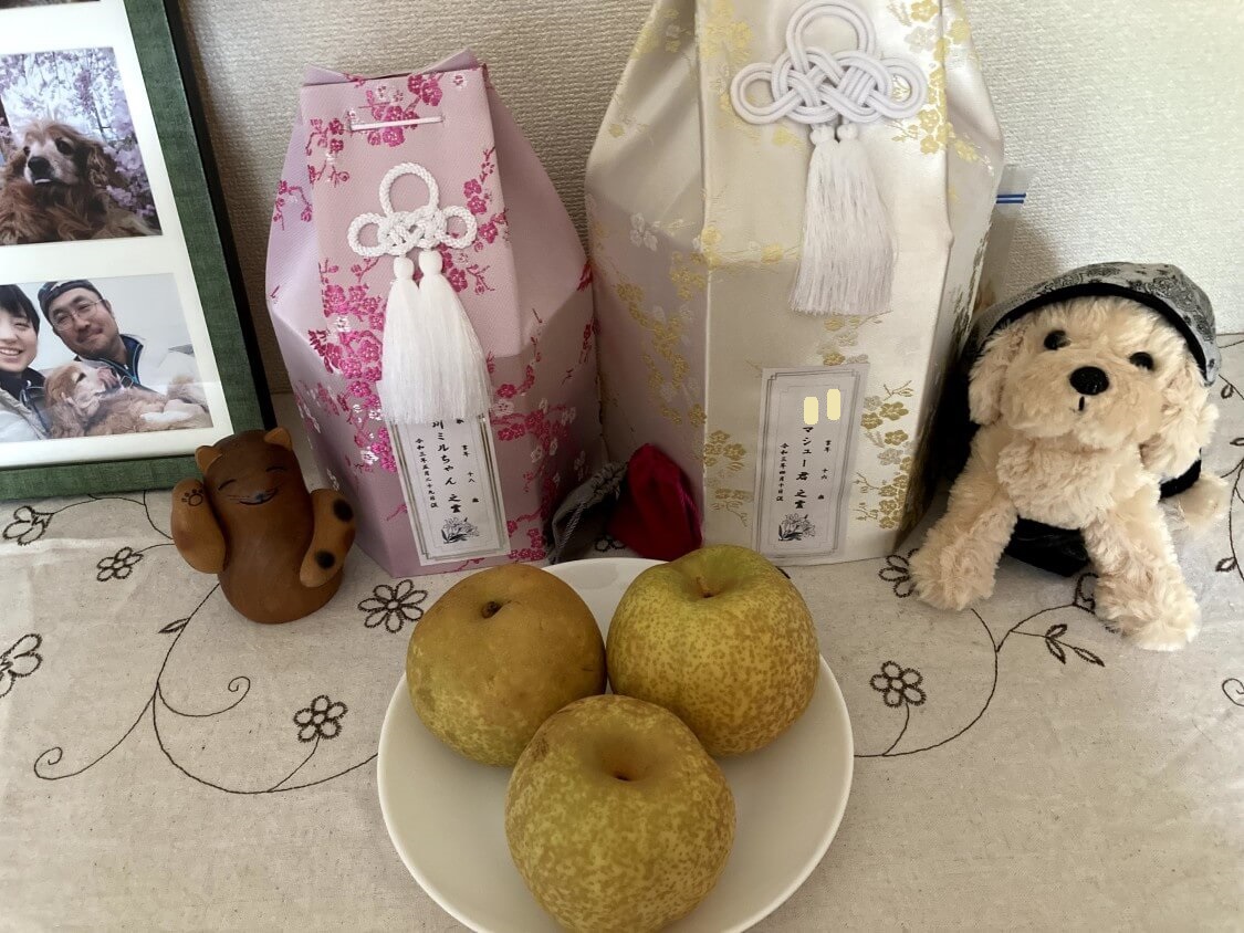 f:id:sumomomomoko:20210823204229j:plain