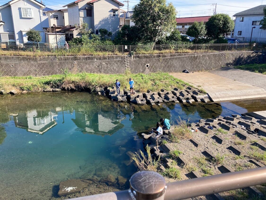 f:id:sumomomomoko:20211027233053j:plain