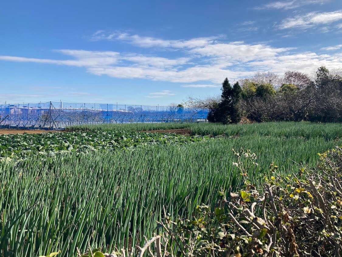 f:id:sumomomomoko:20211206231918j:plain