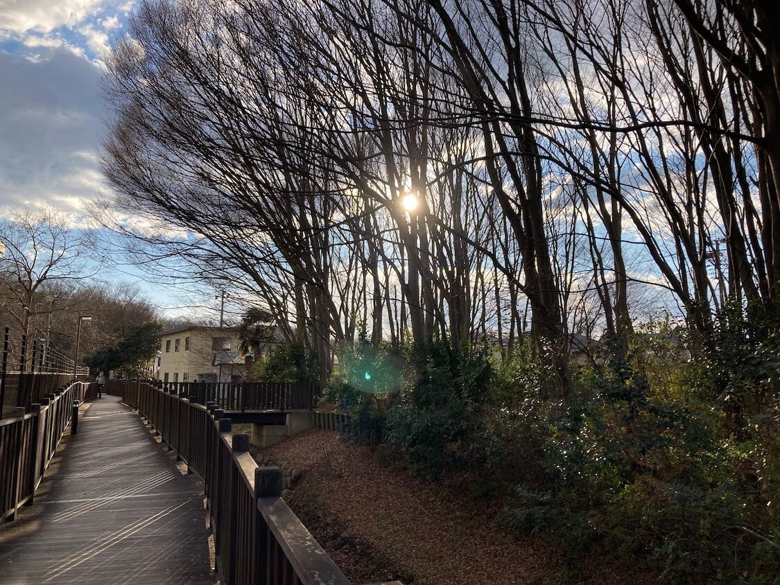 f:id:sumomomomoko:20211231170302j:plain