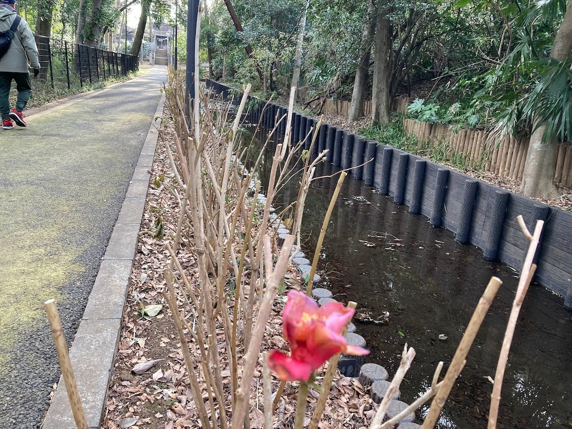 f:id:sumomomomoko:20211231170305j:plain