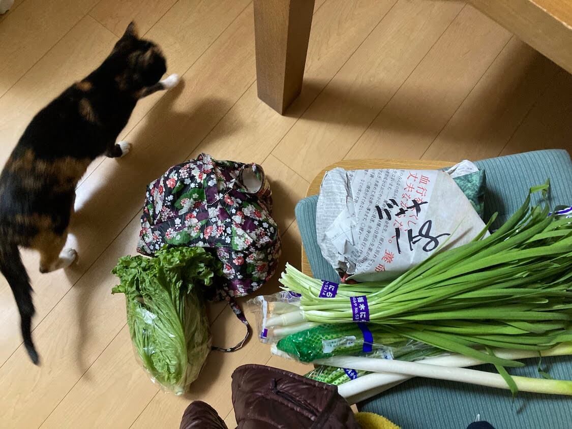 f:id:sumomomomoko:20211231170318j:plain