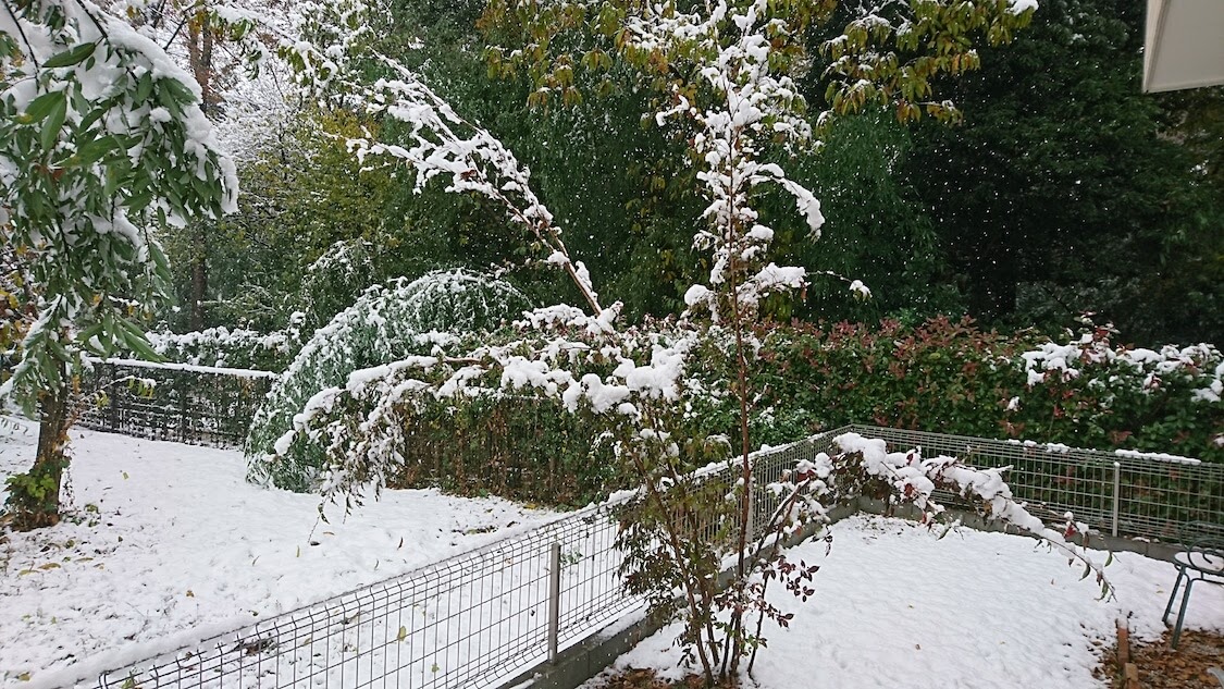 f:id:sumomomomoko:20211231170950j:plain