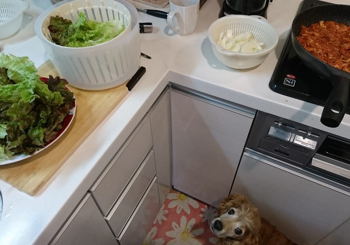 f:id:sumomomomoko:20211231170959j:plain