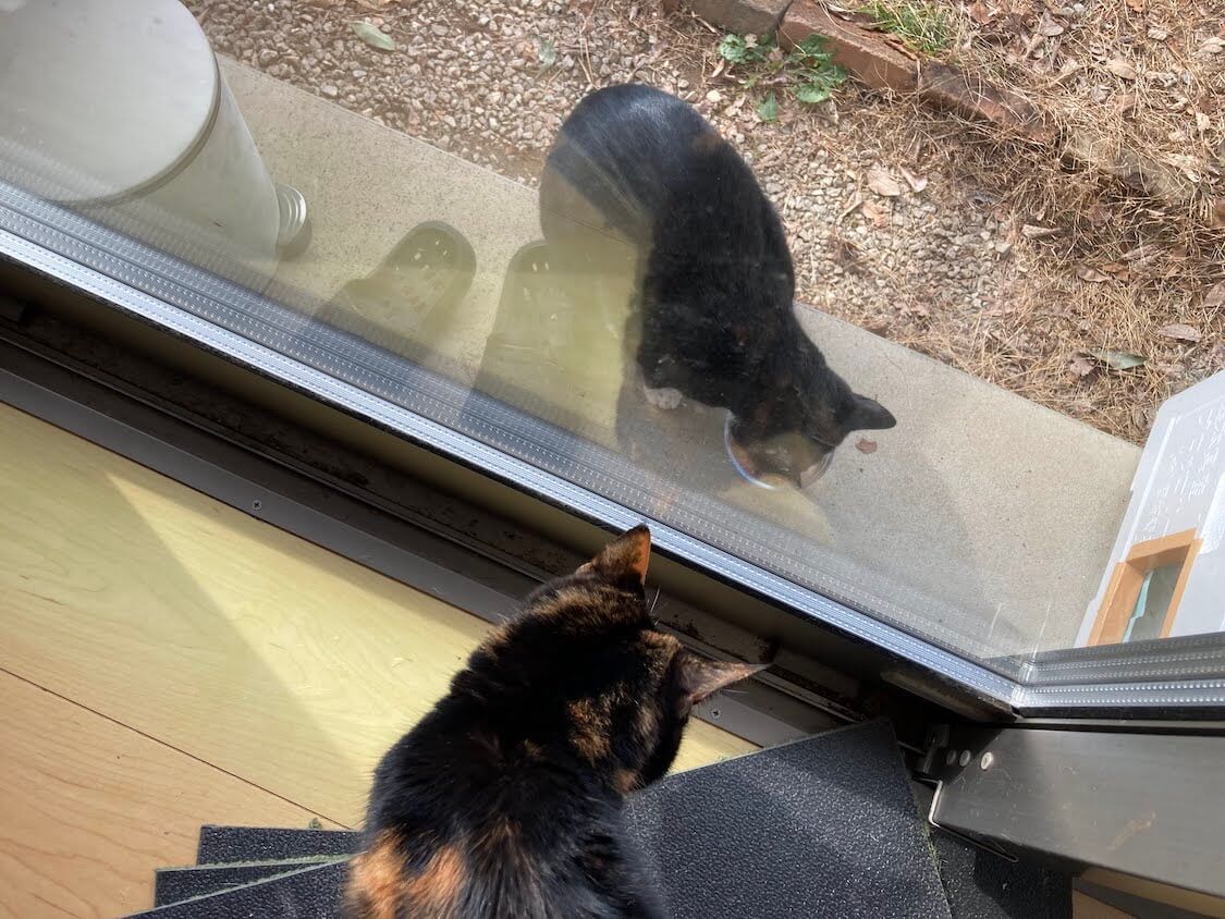 f:id:sumomomomoko:20220103224740j:plain