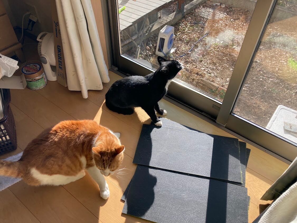 f:id:sumomomomoko:20220103224746j:plain