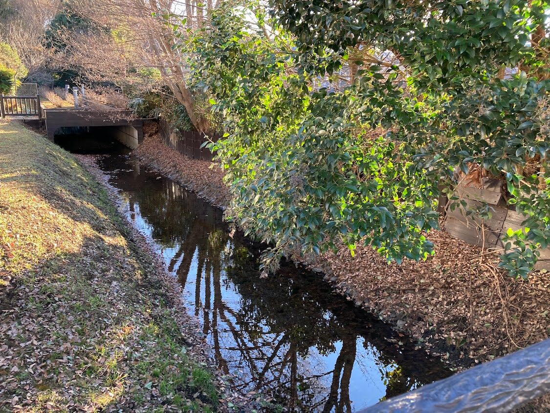 f:id:sumomomomoko:20220103224805j:plain