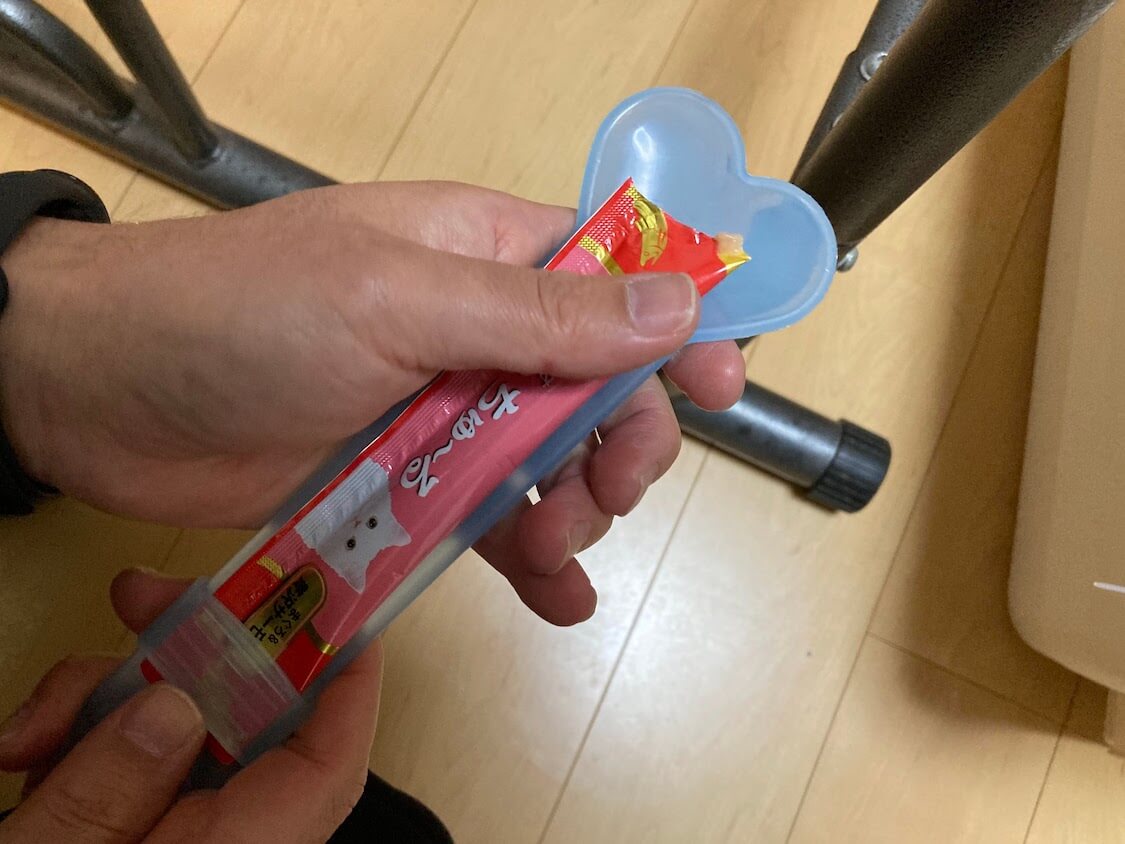 f:id:sumomomomoko:20220103224816j:plain