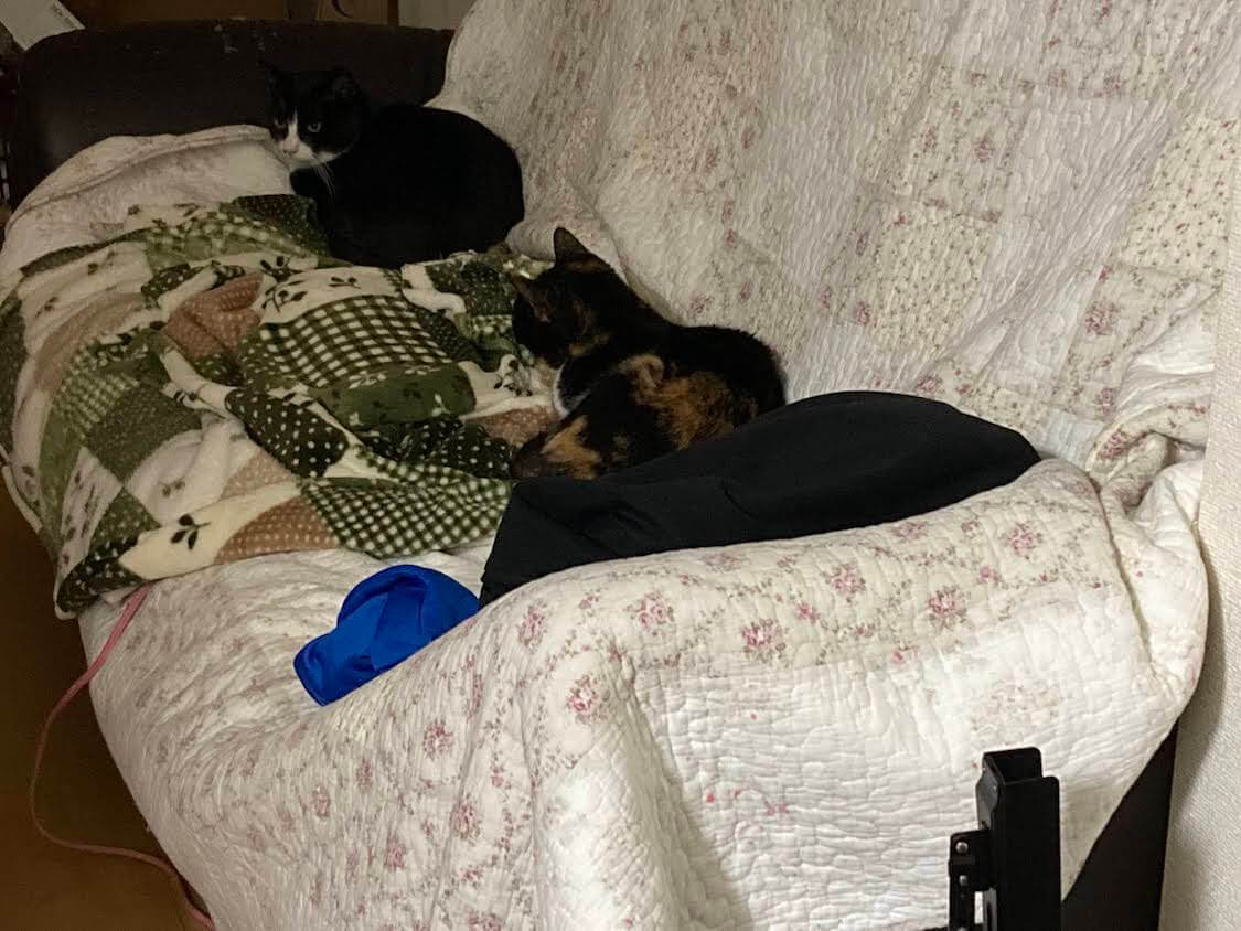 f:id:sumomomomoko:20220118230620j:plain