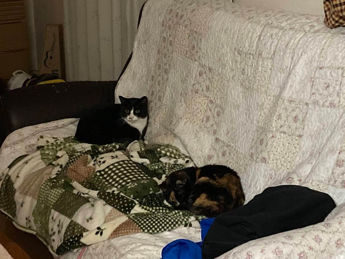 f:id:sumomomomoko:20220118230623j:plain