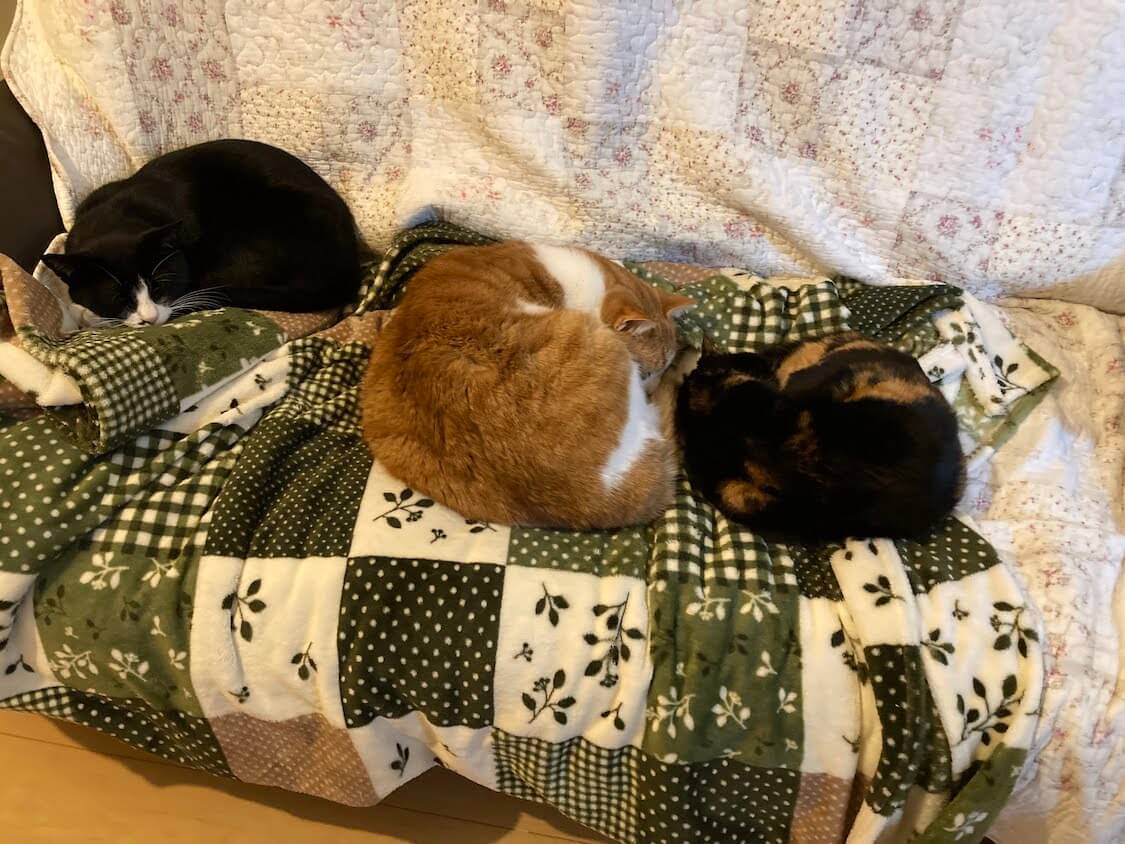 f:id:sumomomomoko:20220118230714j:plain