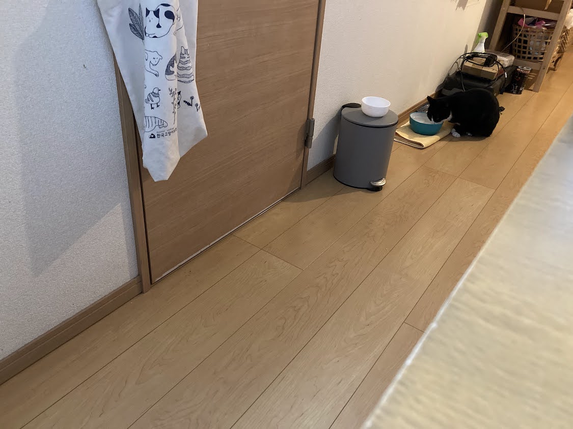 f:id:sumomomomoko:20220118230717j:plain