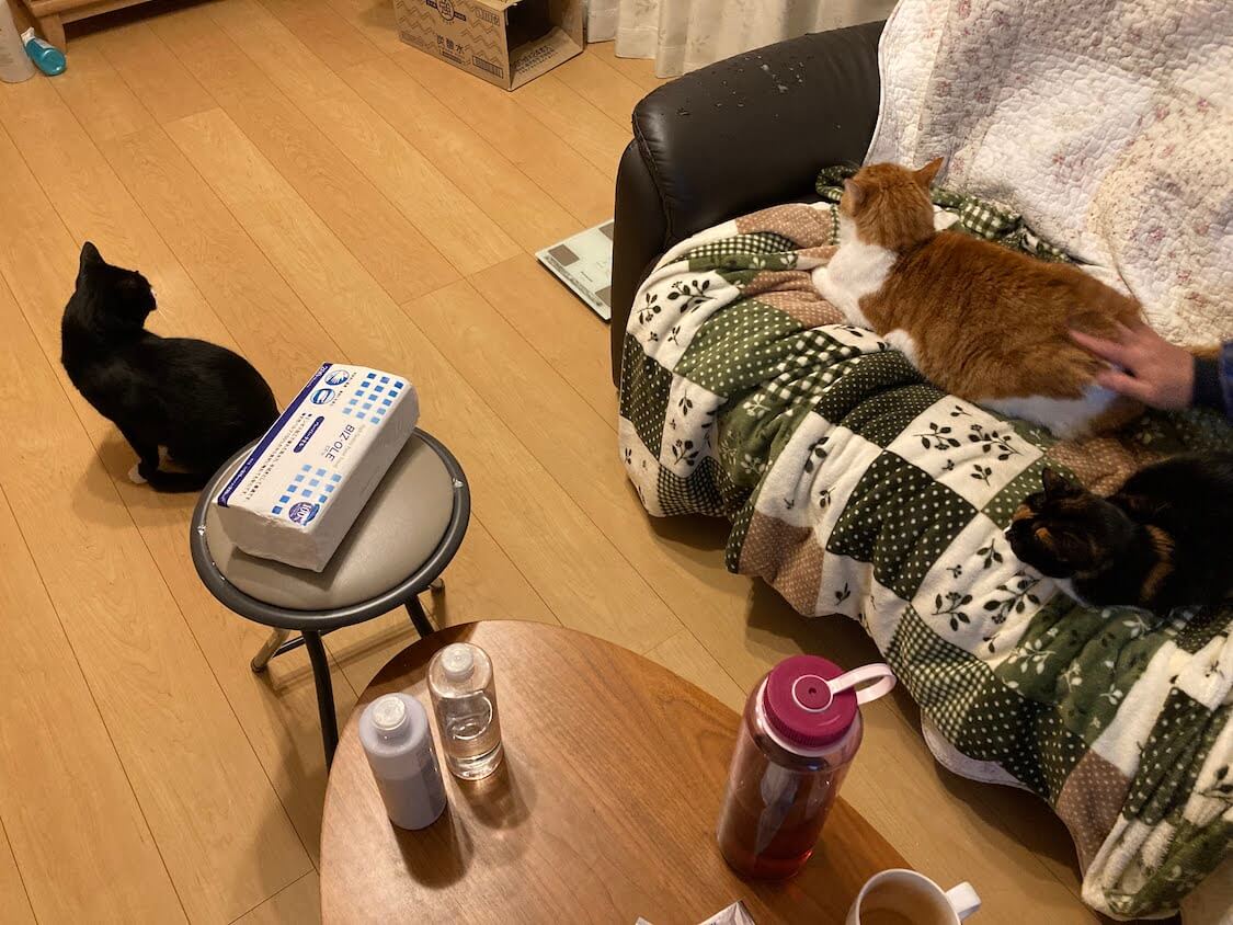 f:id:sumomomomoko:20220118230720j:plain