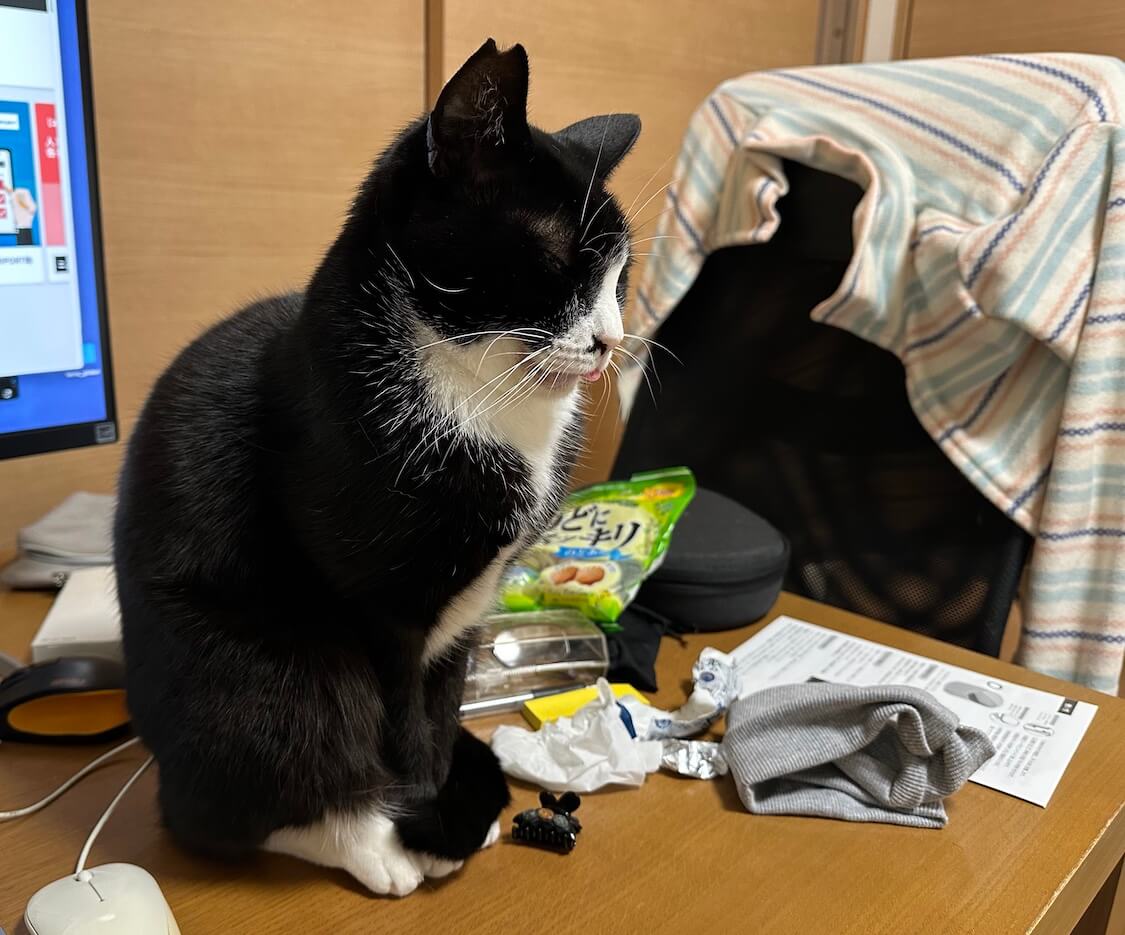 岩盤浴をする猫様 岩盤浴を楽しむ猫。 feat. にんにくミルフィーユ鍋 - すももも桃