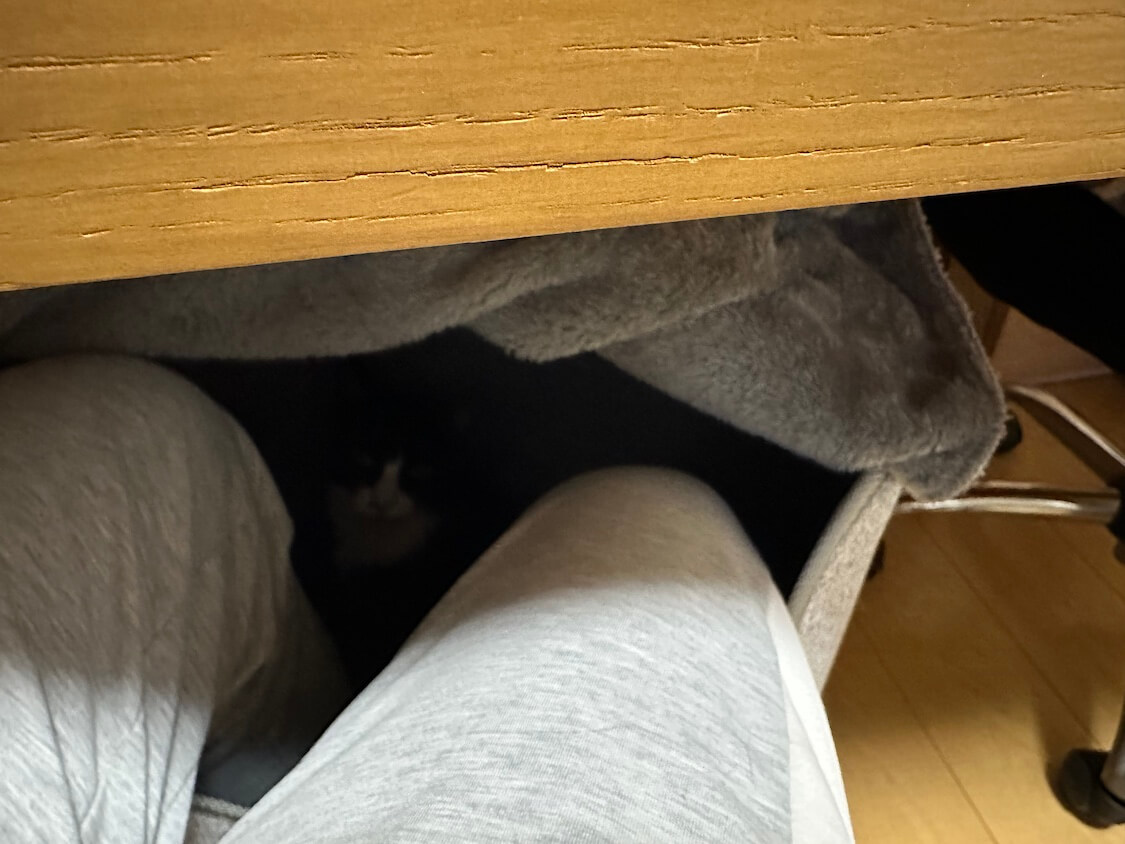 岩盤浴を楽しむ猫。 feat. にんにくミルフィーユ鍋 - すももも桃