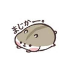 f:id:sumomox:20161021075042j:plain f:id:sumomox:20161021075042j:plain
