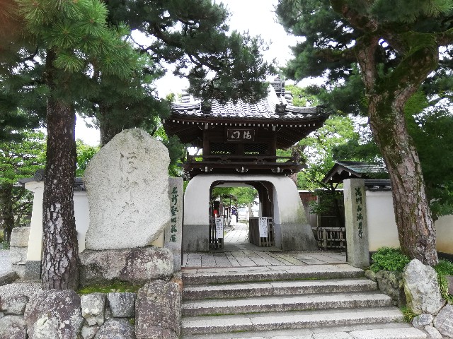f:id:sun-cat:20200727090807j:image f:id:sun-cat:20200727090807j:image