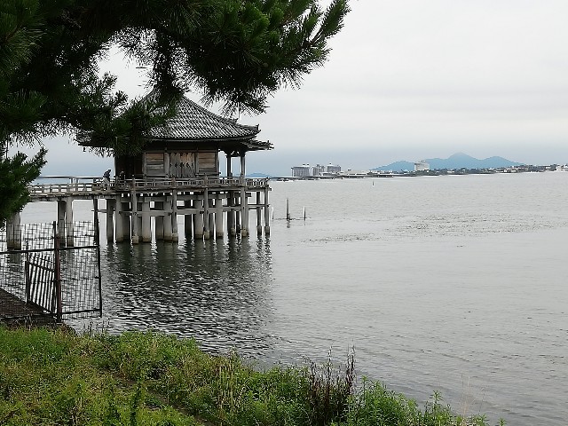 f:id:sun-cat:20200727090914j:image f:id:sun-cat:20200727090914j:image