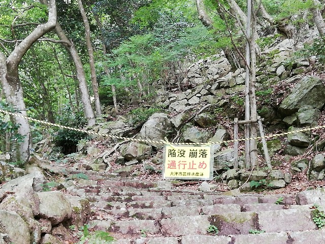 f:id:sun-cat:20200803083633j:image f:id:sun-cat:20200803083633j:image