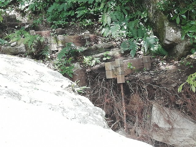f:id:sun-cat:20200803091405j:image f:id:sun-cat:20200803091405j:image