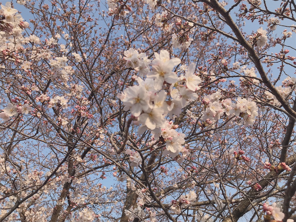 f:id:sun1018:20180330174448j:image