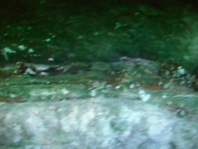 f:id:sun369:20210505164406j:plain