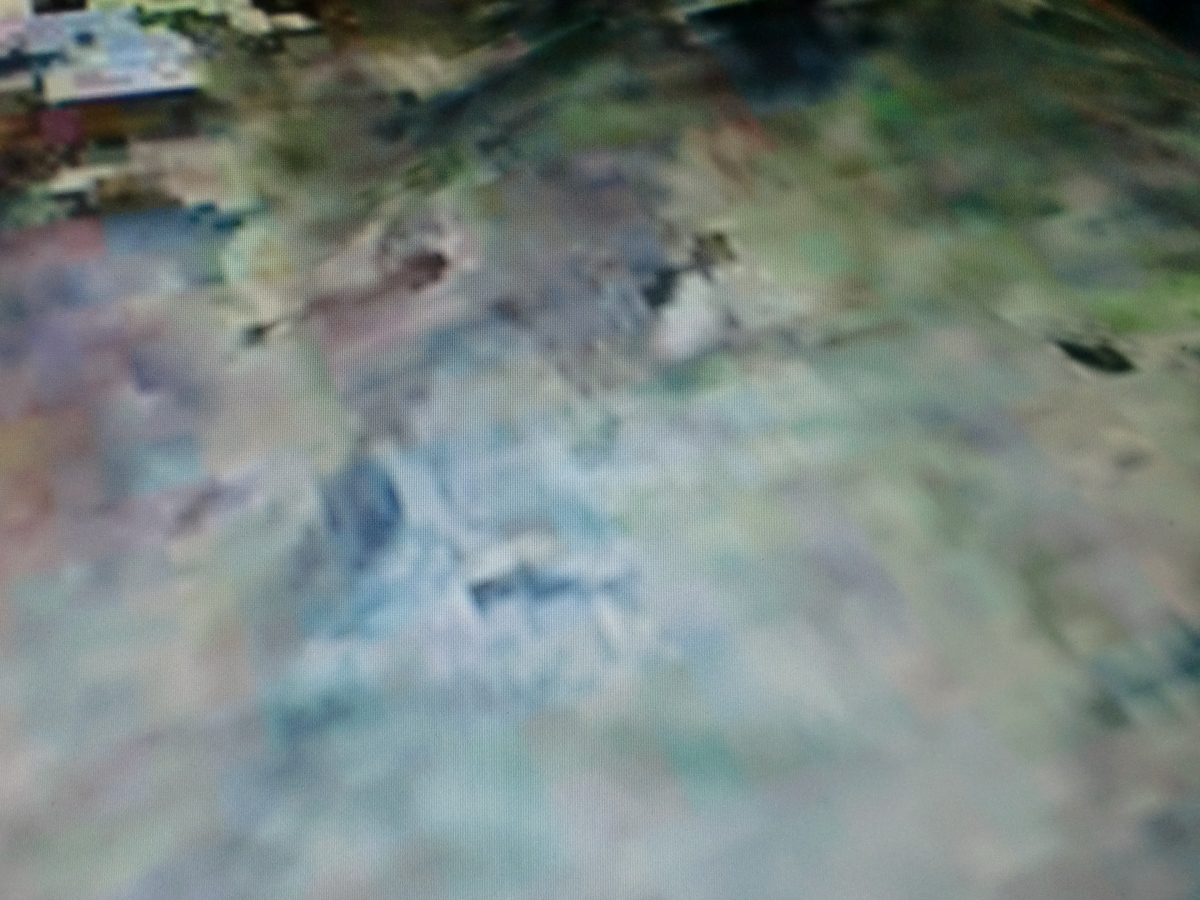 f:id:sun369:20210516094600j:plain