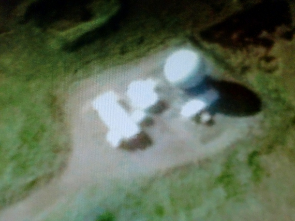 f:id:sun369:20210518061857j:plain