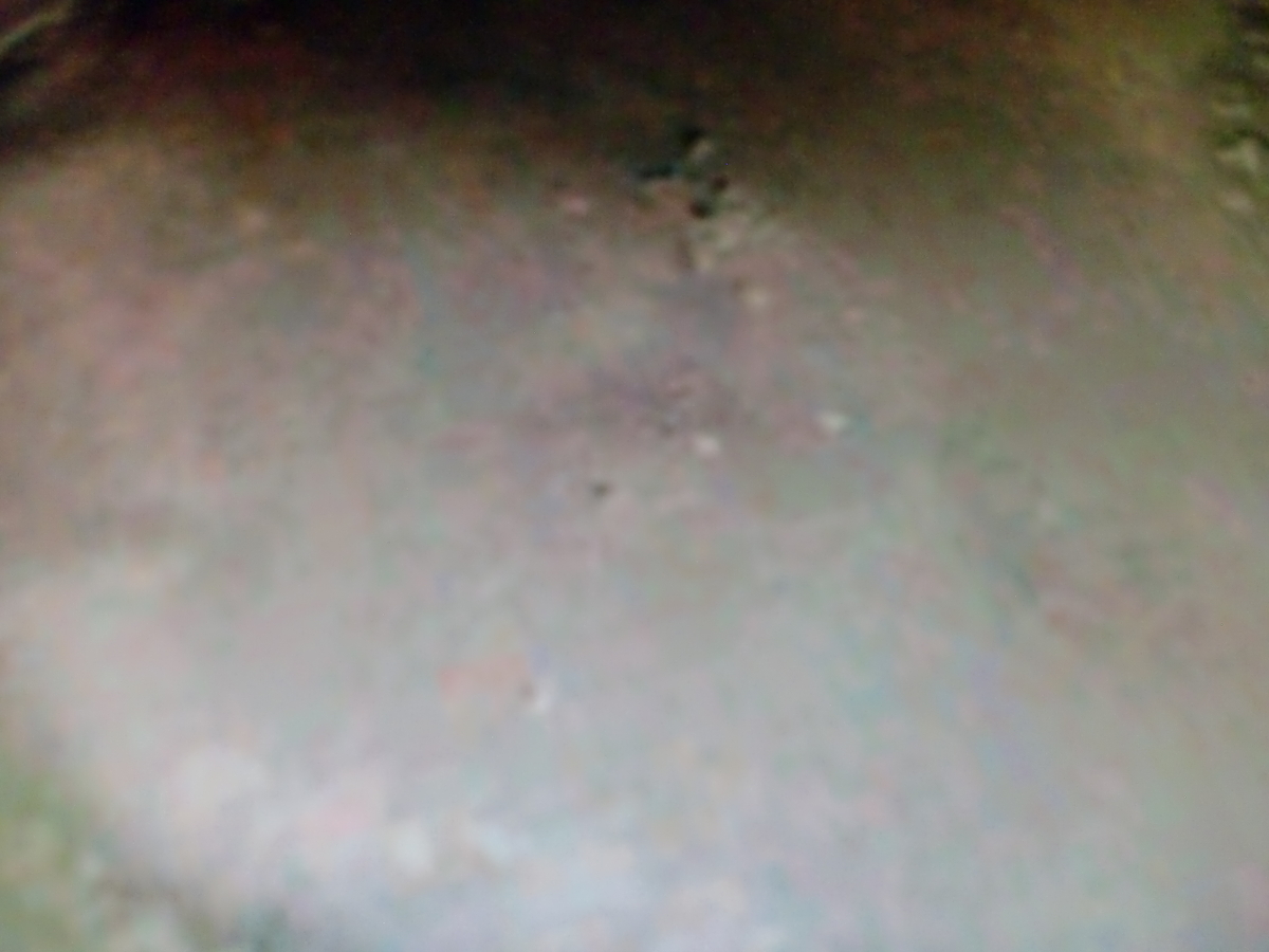 f:id:sun369:20210518062249j:plain