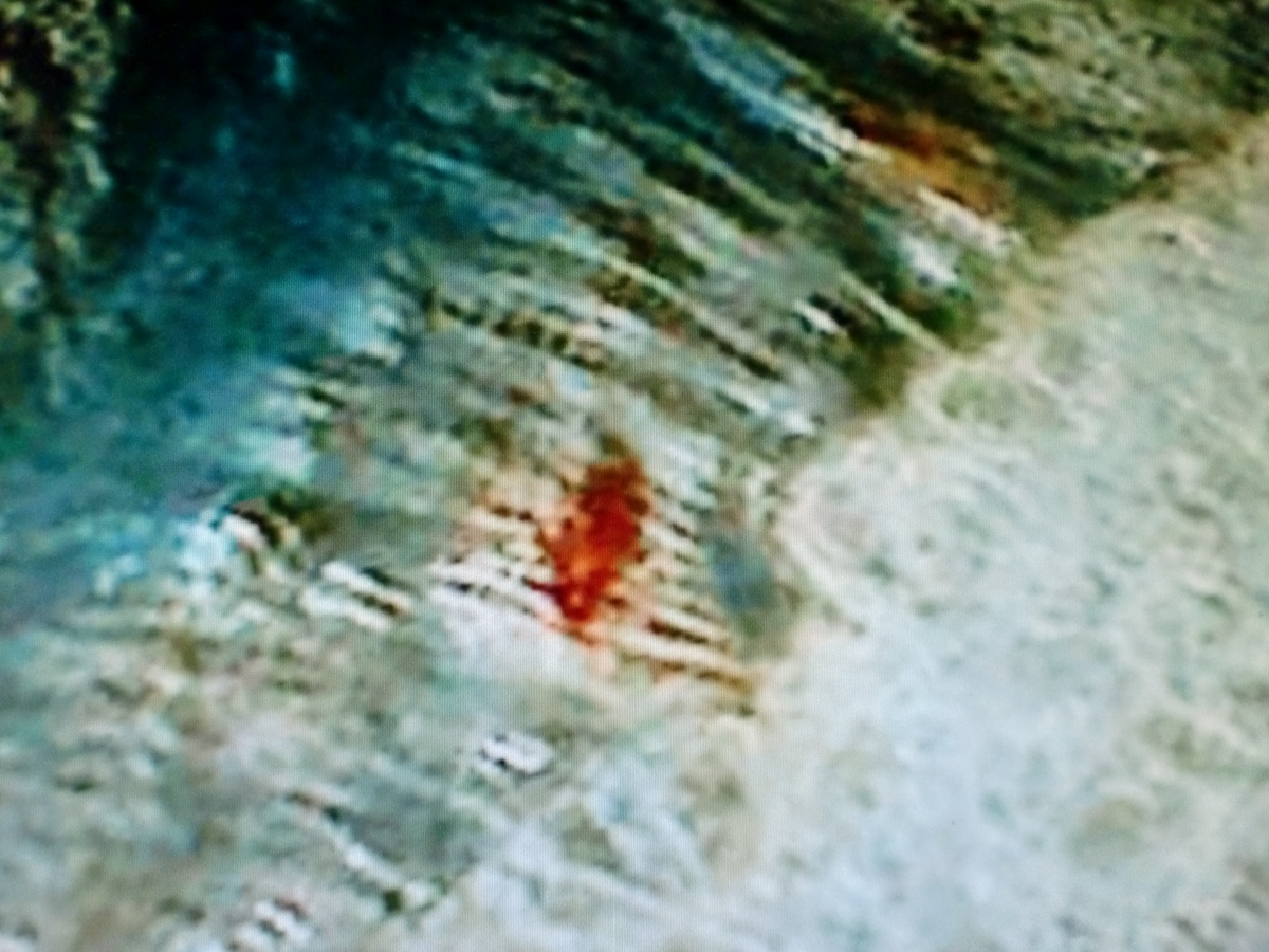 f:id:sun369:20210526055858j:plain