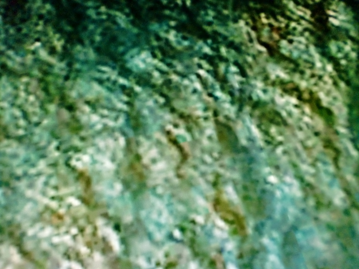 f:id:sun369:20210526055915j:plain
