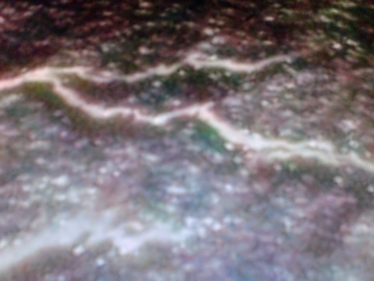 f:id:sun369:20210526060156j:plain