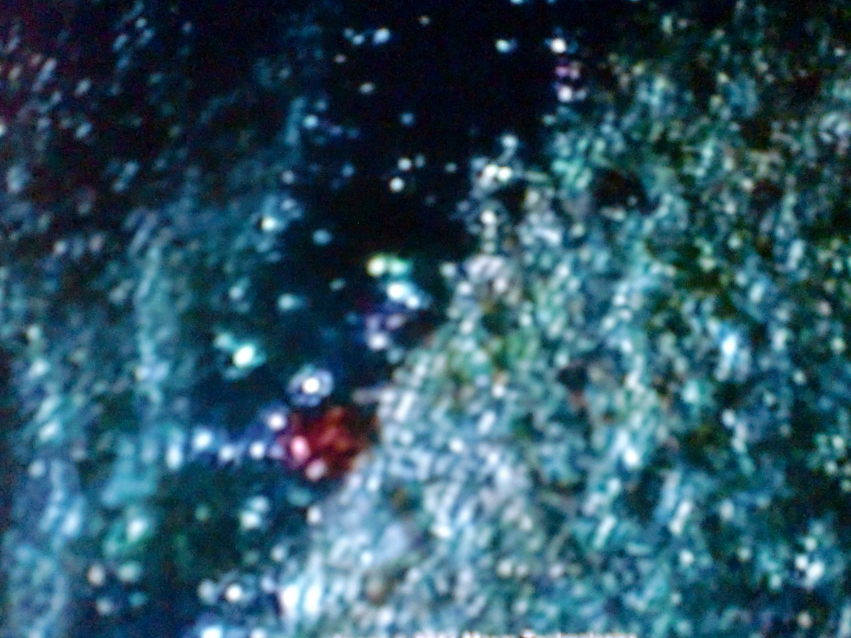 f:id:sun369:20210526060259j:plain