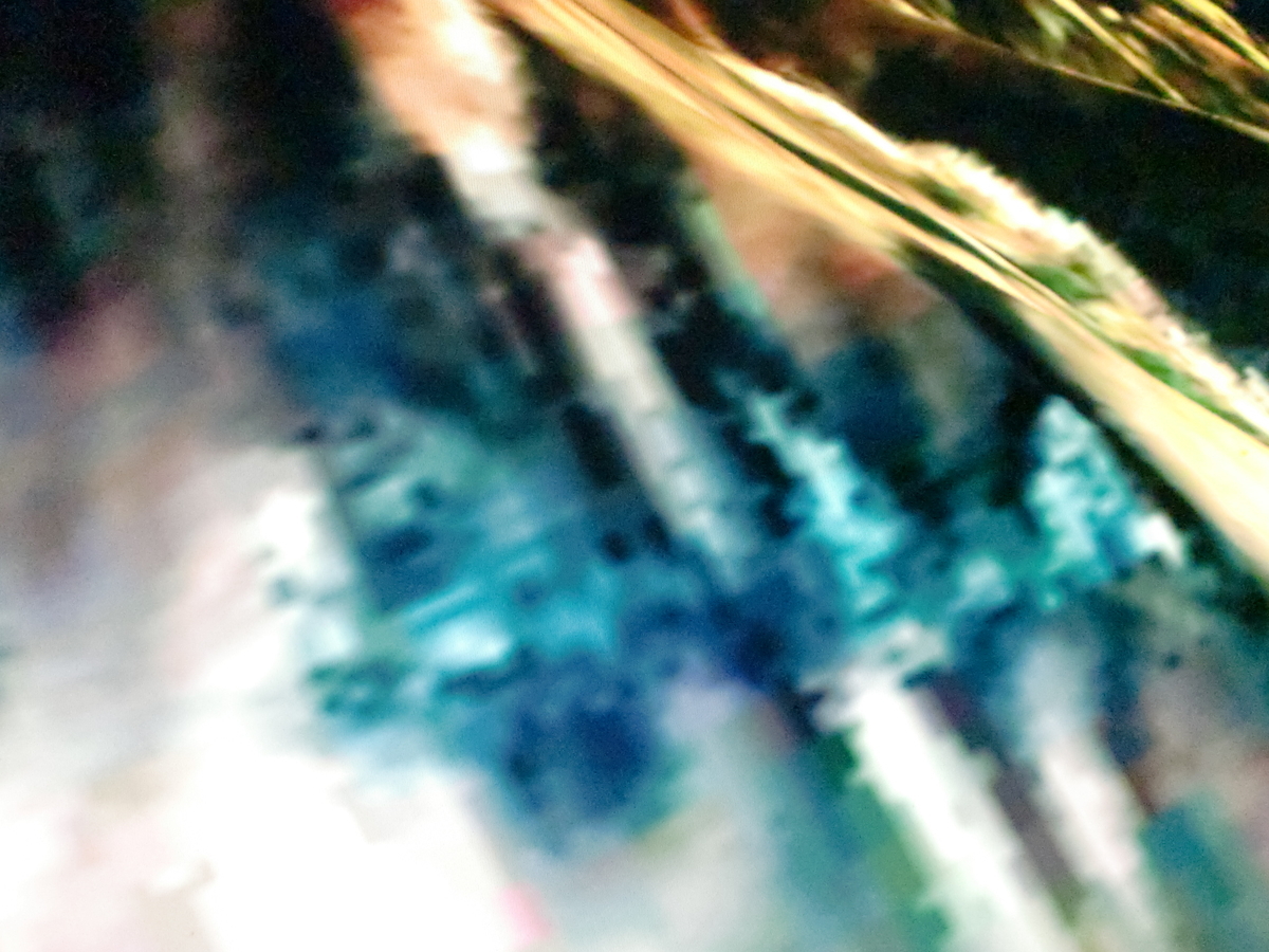 f:id:sun369:20210601071041j:plain