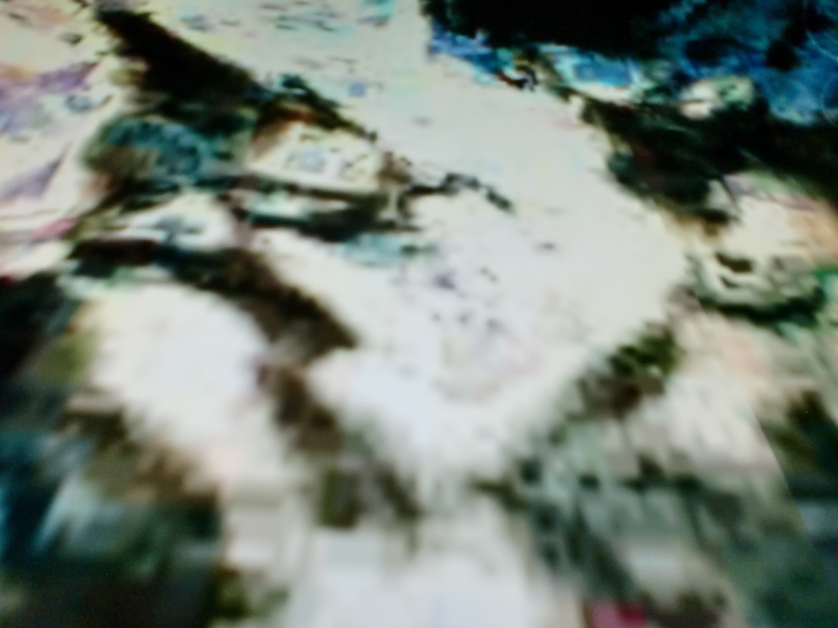 f:id:sun369:20210602063704j:plain