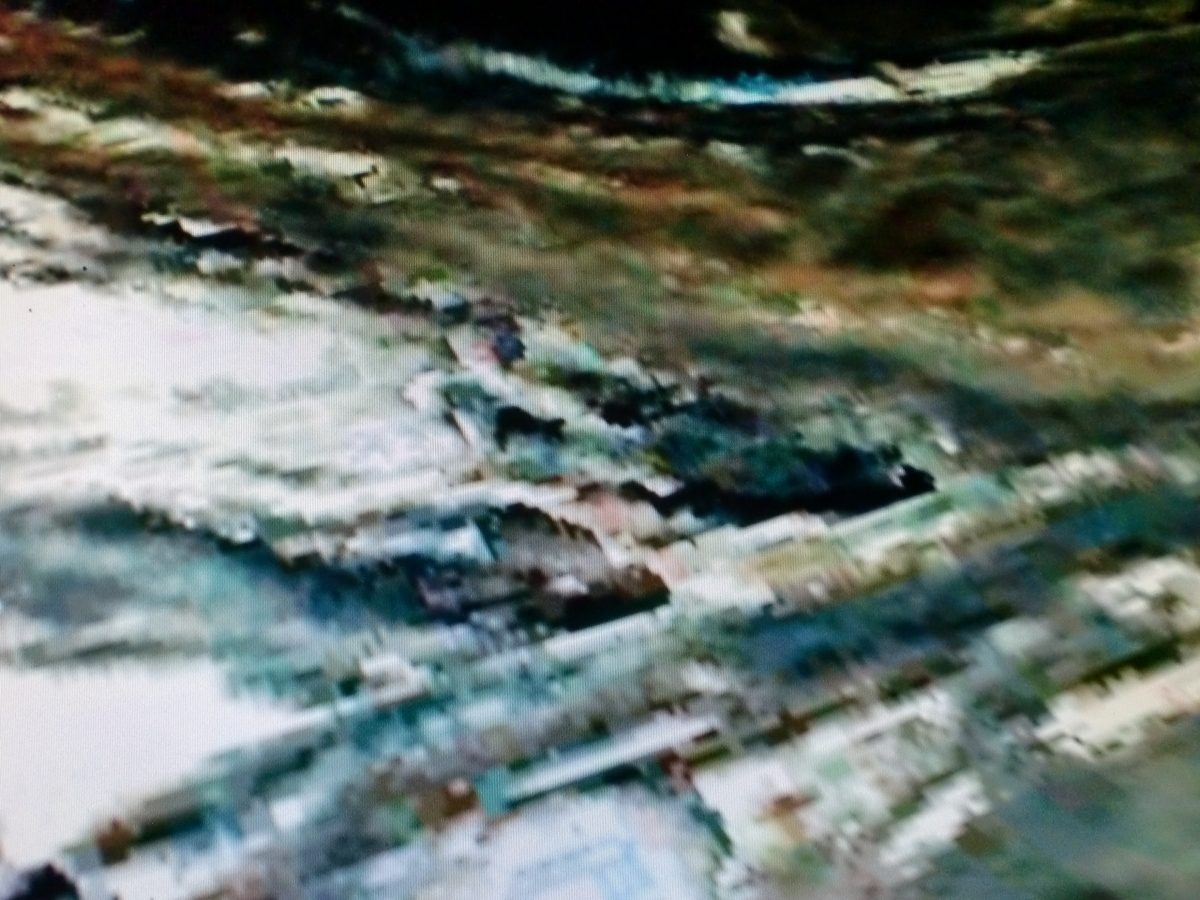 f:id:sun369:20210602063743j:plain