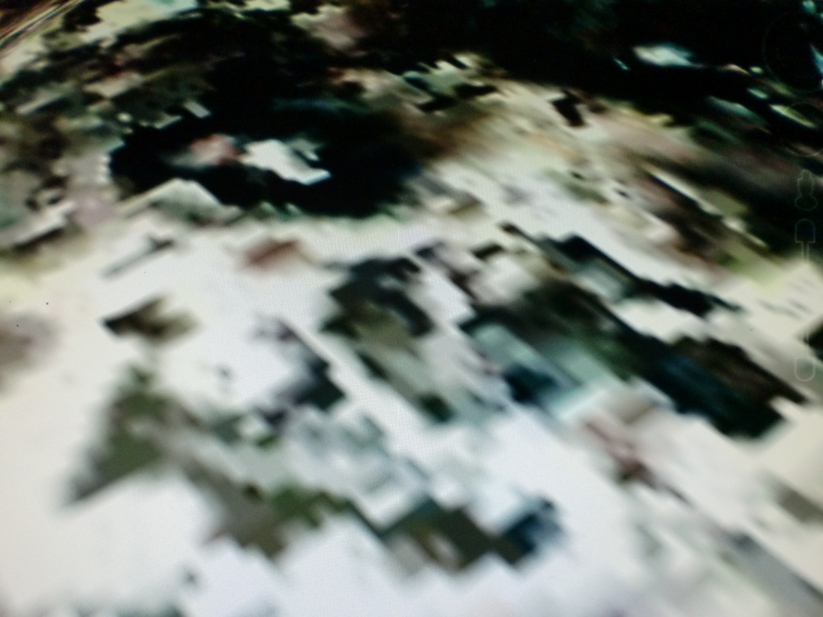 f:id:sun369:20210603055655j:plain