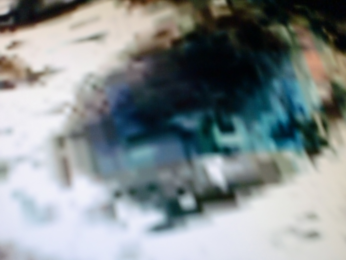 f:id:sun369:20210604060500j:plain