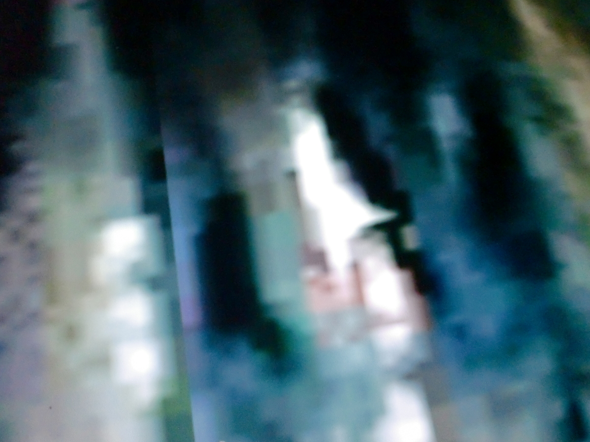 f:id:sun369:20210607055619j:plain