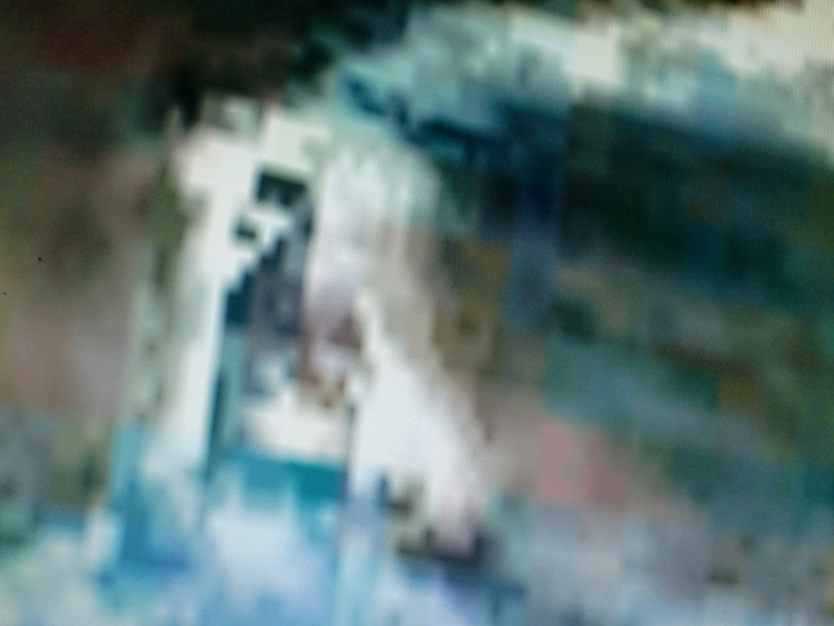 f:id:sun369:20210607055728j:plain