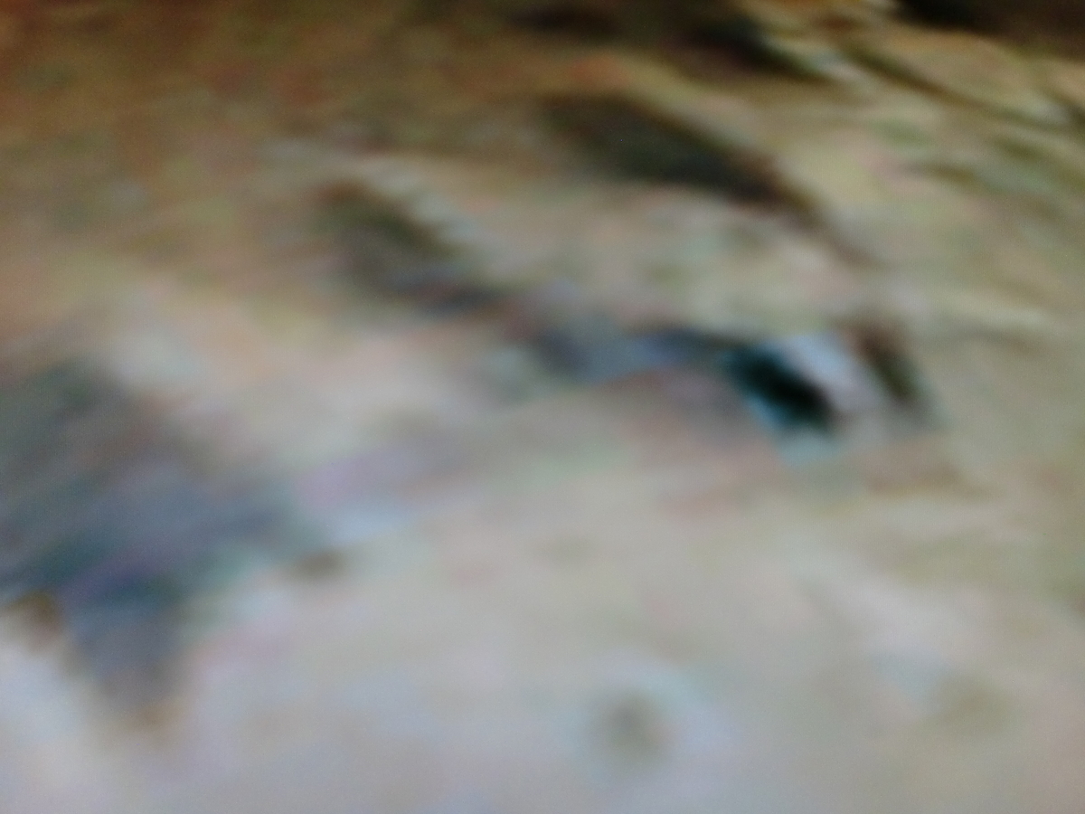 f:id:sun369:20210607074349j:plain